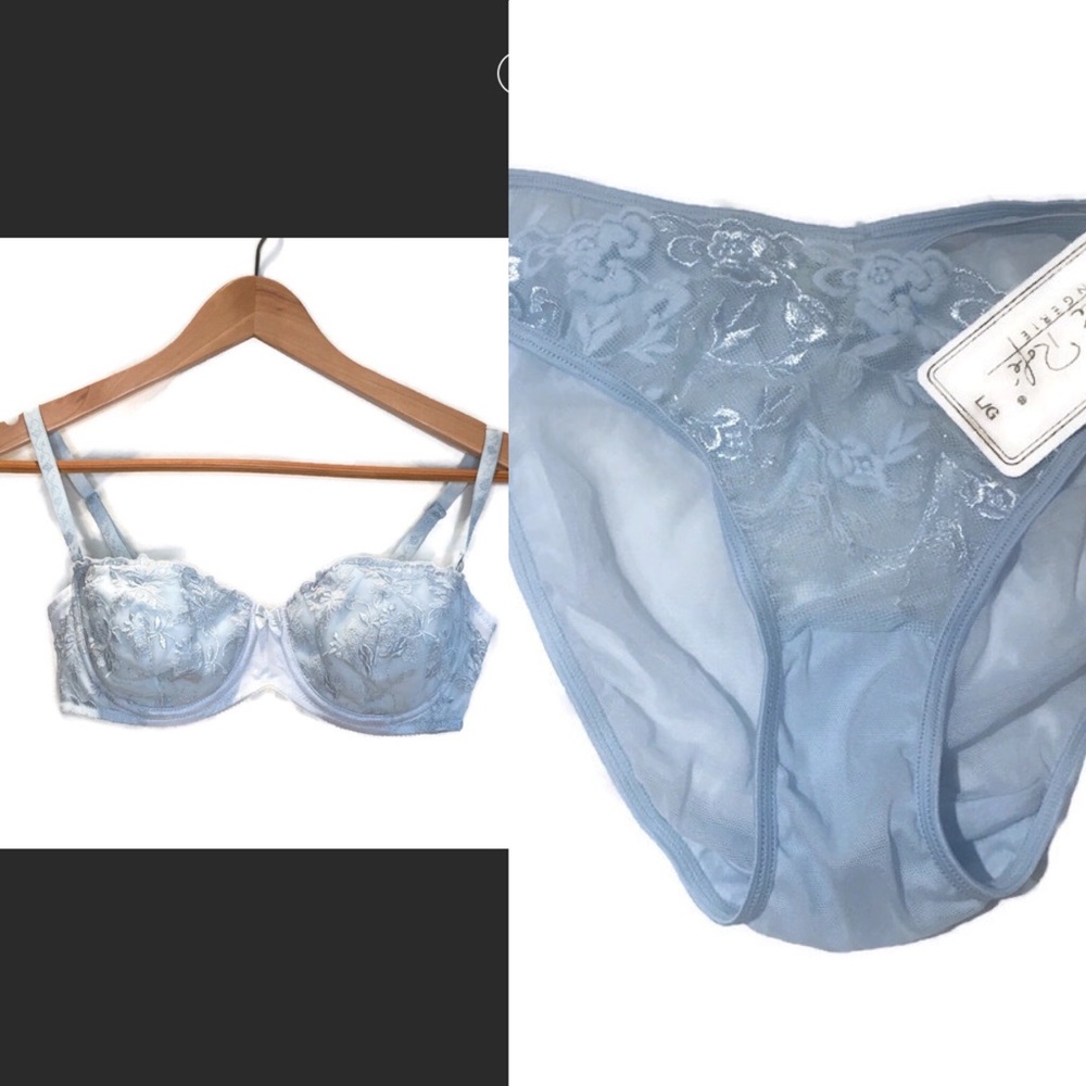 NWOT Kenji blue bra,adjustable strap, Rene panties